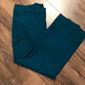 Lane Bryant dress pants.